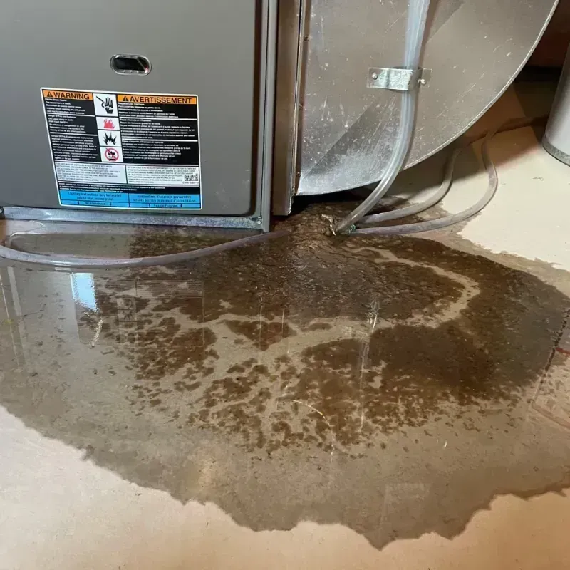 Appliance Leak Cleanup in Sycamore, IL